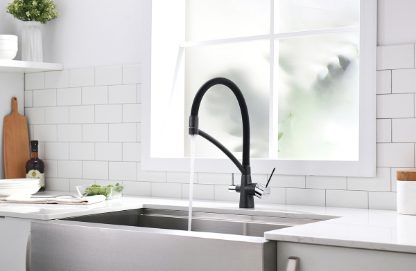 Смеситель для кухни с подключением к фильтру  Paulmark Siеgen Si213111-418