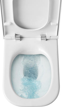 Унитаз напольный безобоковый Roca The Gap  Rimless 34273700H