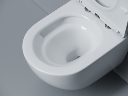 Унитаз подвесной Ceramicanova Alba торнадо 3.0 CN11005T сиденье микролифт 