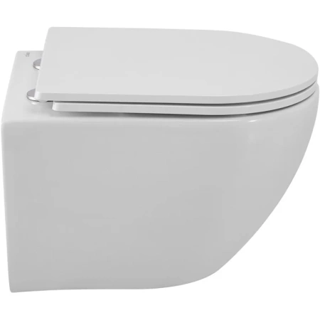 Унитаз подвесной безободковый Cezares Relax CZR-38088-49-TH-TOR/SC микролифт
