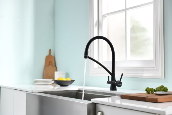 Смеситель для кухни с подключением к фильтру  Paulmark Siеgen Si213111-401TB