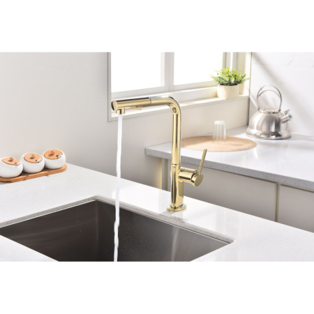 Смеситель для кухни Paulmark Neo Ne214419-G