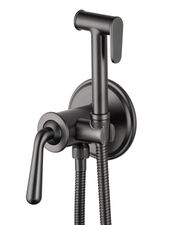 Смеситель с гигиеническим душем встраиваемый WONZON & WOGHAND STEAM, темный графит WW-88829008-BGM