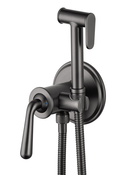 Смеситель с гигиеническим душем встраиваемый WONZON & WOGHAND STEAM, темный графит WW-88829008-BGM