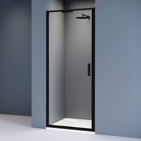 Душевая дверь 100 см RGW Stilvoll SV-05B 70320510-14 прозрачное
