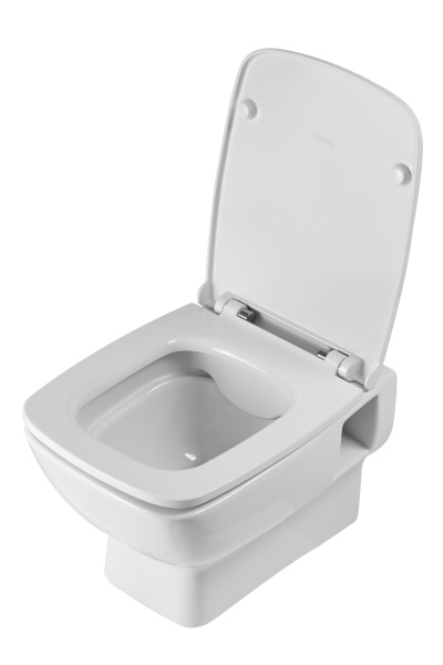 Унитаз подвеной Santek  rimless Нео 1WH302411