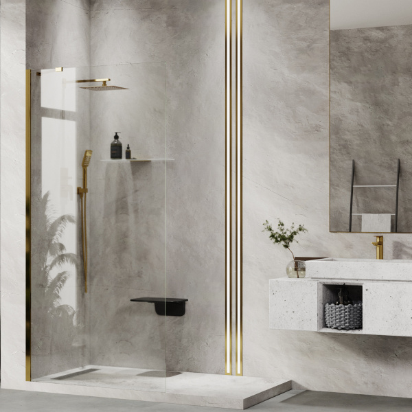 Душевая перегородка (100х200) WasserKRAFT Aisch 55W44