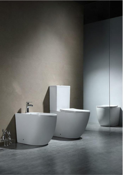 Биде напольное Aquatek Европа AQ1017-00