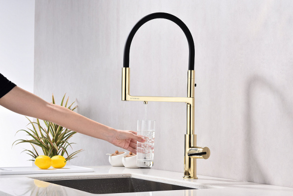 Смеситель для кухни с подключением к фильтру  Paulmark Tornado To213402-G