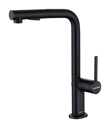 Смеситель для кухни Paulmark Neo Ne214419-401