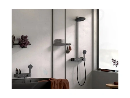 Крючок Hansgrohe WallStoris 27914670 черный матовый