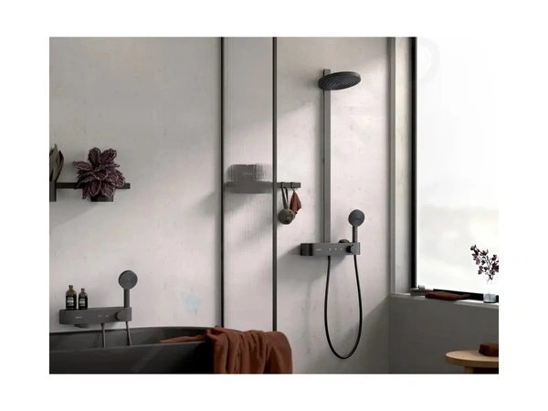 Крючок Hansgrohe WallStoris 27914670 черный матовый
