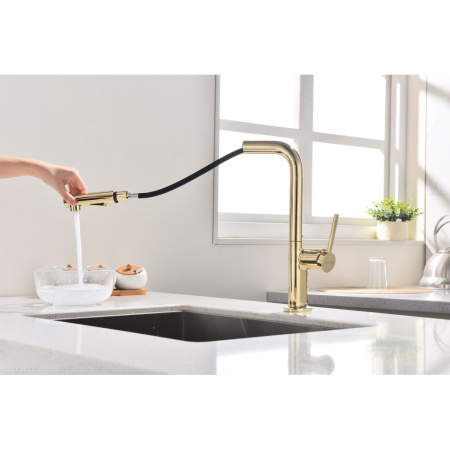 Смеситель для кухни Paulmark Neo Ne214419-G