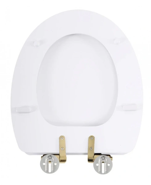 Крышка-сиденье Cezares Primo CZR-T-166M-S-G