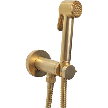 Гигиенический набор с прогрессивным смесителем Bossini Paloma Brass E37005B.043 брашированное золото