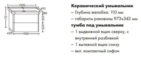 Комплект мебели с раковиной Burgbad Iveo SFEN100F2833G0161C0001*1