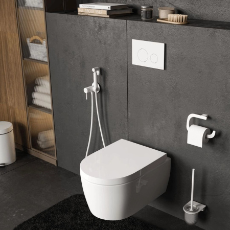 Инсталляция для унитаза WasserKraft Dill 61 61TLT.010.ME.WM02