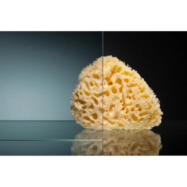 Душевая дверь Vegas Glass ZP Novo h2000 105 03 01 105 см, профиль золотой матовый, стекло прозрачное