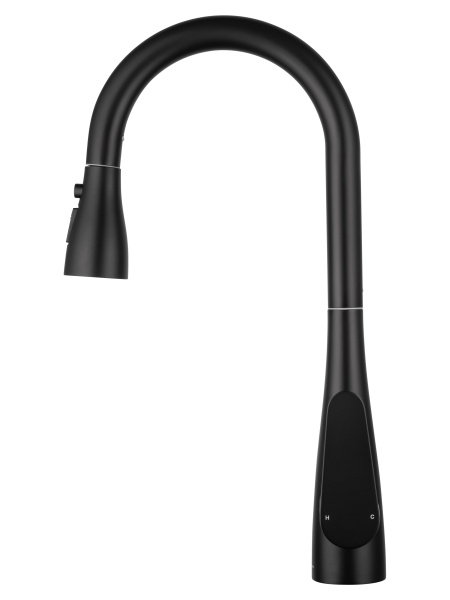 Смеситель для кухни с выдвижным изливом WONZON & WOGHAND, черный матовый WW-121E201B-MB Смеситель для кухни с выдвижным изливом WONZON & WOGHAND, черный матовый WW-121E201B-MB