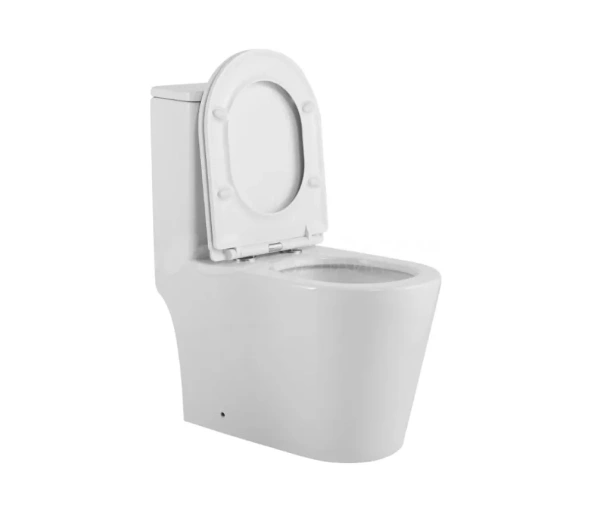 Унитаз напольный безободковый SantiLine SL-5029