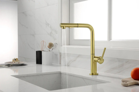Смеситель для кухни Paulmark Neo Ne214419-SBG
