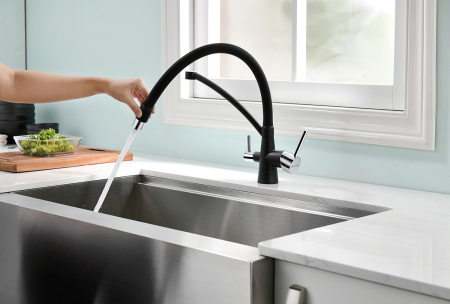 Смеситель для кухни с подключением к фильтру  Paulmark Siеgen Si213111-308