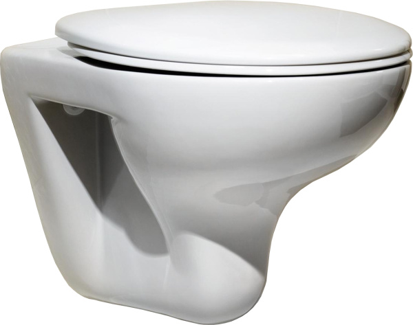 Крышка для чаши Roca Mateo ZRU9302815 петли хром