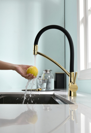 Смеситель для кухни с подключением к фильтру  Paulmark Siеgen Si213111-G