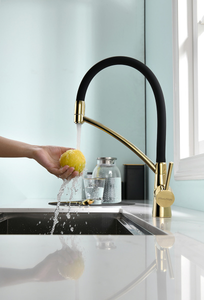 Смеситель для кухни с подключением к фильтру  Paulmark Siеgen Si213111-G