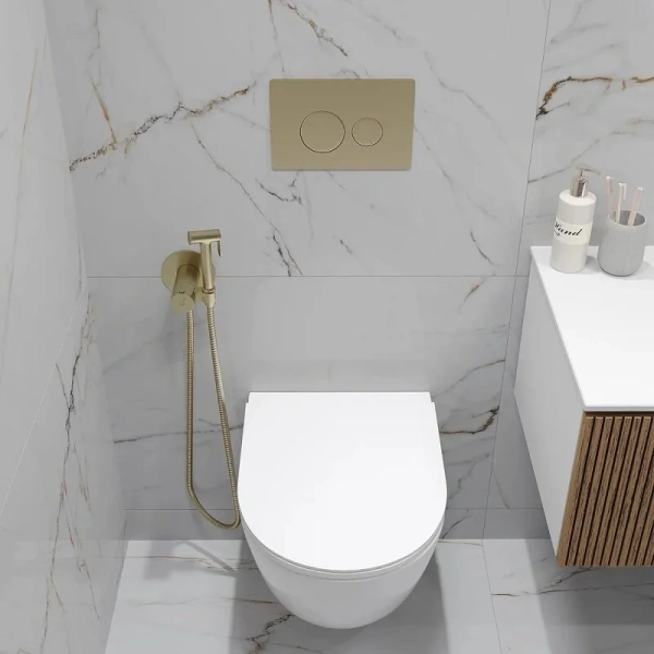 Кнопка смыва Oliveeka OL-R22-BG, PVD золото матовое