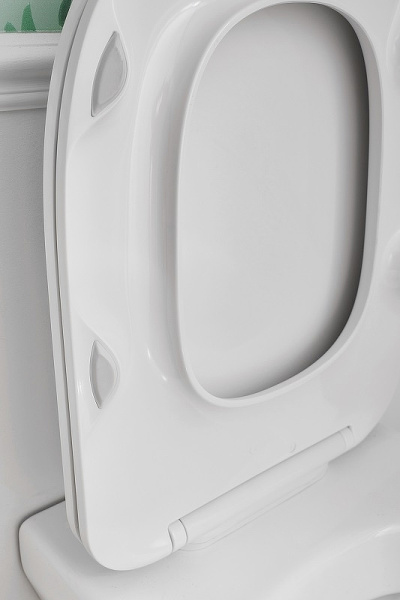 Унитаз подвесной безободковый Jacob Delafon Modern Life E77725-0 (без сиденья)