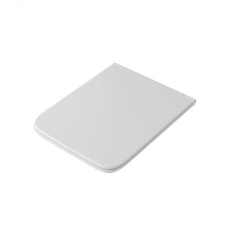 Крышка с сиденьем для унитаза OWLT190203 Eter Ruta-H DP микролифт, OWLC19-004