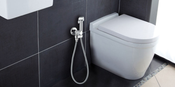 Гигиенический душ Bossini Paloma Brass, хром E57033B.030