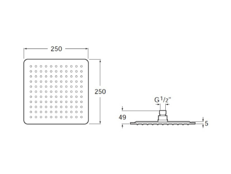 Верхний душ Roca Raindream (25x25) нержавеющая сталь 5B2450C00