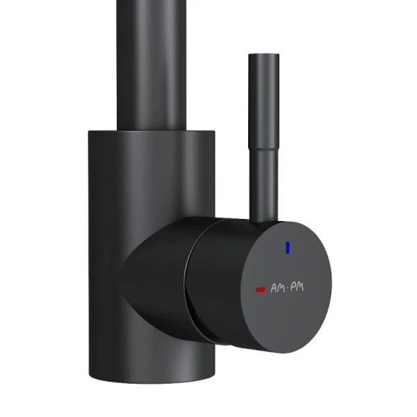 Смеситель для кухни Am.Pm X-Joy S F85B07122 черный матовый