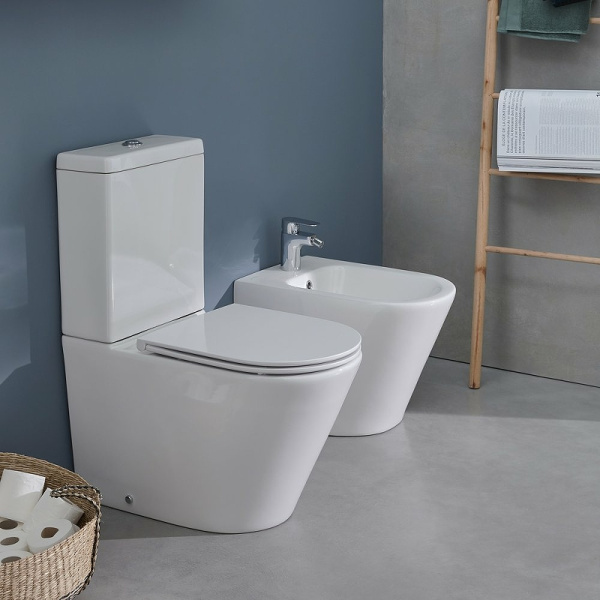 Чаша унитаза Jacob Delafon Rodin+ UJAB102-00