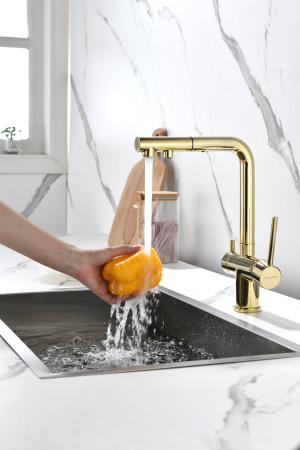 Смеситель для кухни с подключением к фильтру  Paulmark Serpentine Se213222-G