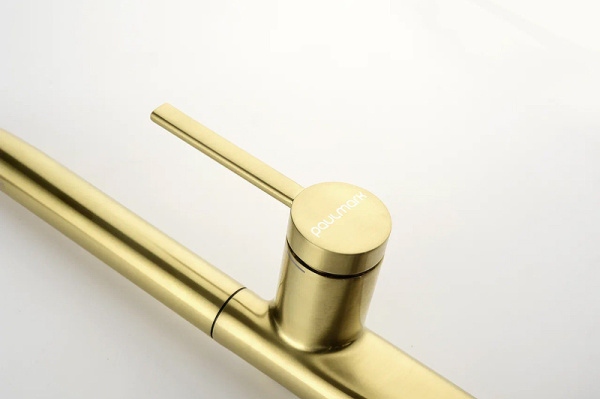 Смеситель для кухни Paulmark Neo Ne214419-SBG