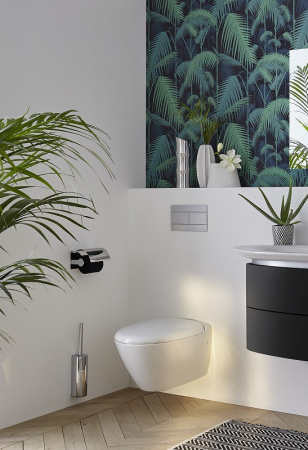 Раковина подвесная Jacob Delafon Presquile E4436-00