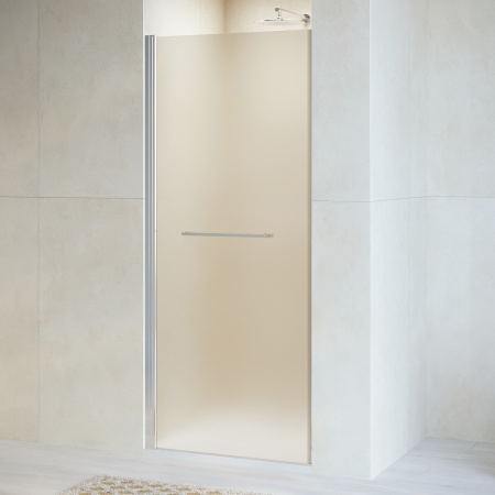 Душевая дверь 70 см RGW Passage PA-103 020810307-21 матовое