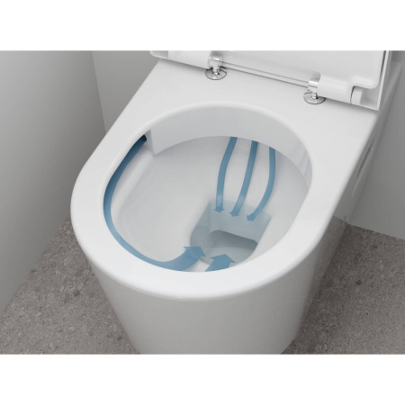 Унитаз подвесной безободковый Hansgrohe EluPura Original S 60142450 без сиденья