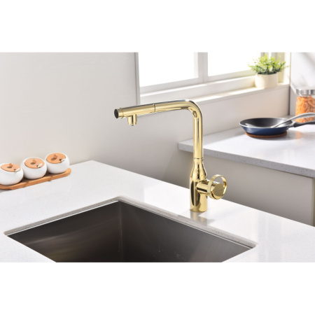 Смеситель для кухни с подключением к фильтру  Paulmark Urban Ur213104-G