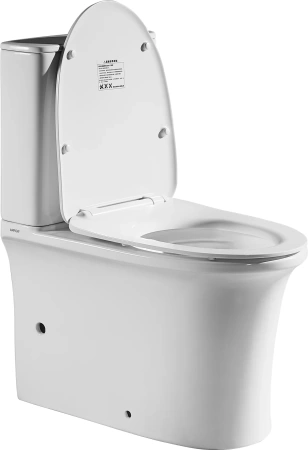 Унитаз напольный Arrow AB2230H безободковый, без бачка и сиденья