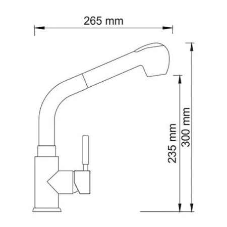 Смеситель для кухни с выдвижной лейкой WasserKRAFT Wern 4266