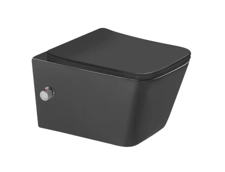 Подвесной безободковый унитаз с функцией биде  SantiLine SL-5004MB-BD 