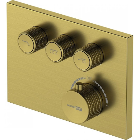 Смеситель для душа WasserKRAFT Aisch 5558 Thermo