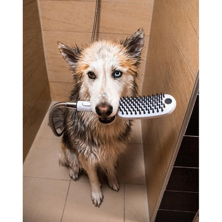 Ручной душ для мытья собак Hansgrohe DogShower 26640700 белый матовый