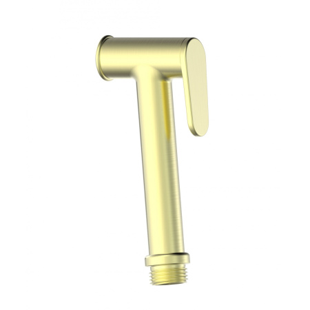 Лейка для гигиенического душа WONZON & WOGHAND, брашированное золото WW-88PQ01-BG
