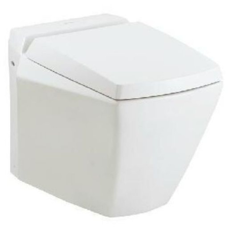 Унитаз напольный Toto Jewelhex CW681PB#XW
