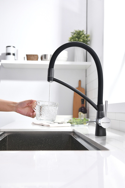 Смеситель для кухни с подключением к фильтру  Paulmark Siеgen Si213111-418